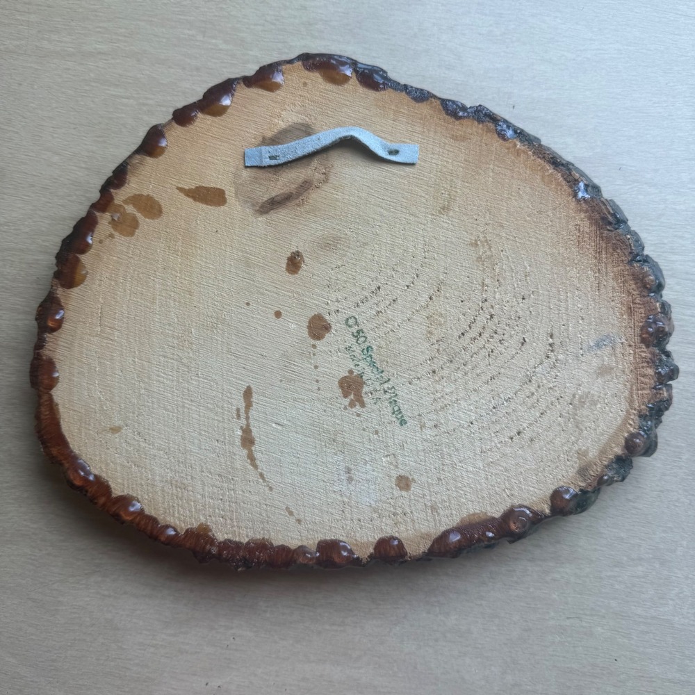 50 Special Plaque Yosemite Wood Slice Wall Art Half Dome Good 8.75in x 7.25in - Picture 2 of 10